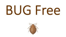 Bed Bug Free